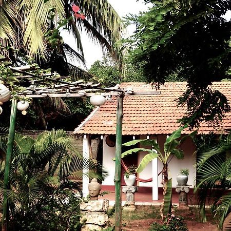 Allens home stay Jaffna Eksteriør billede